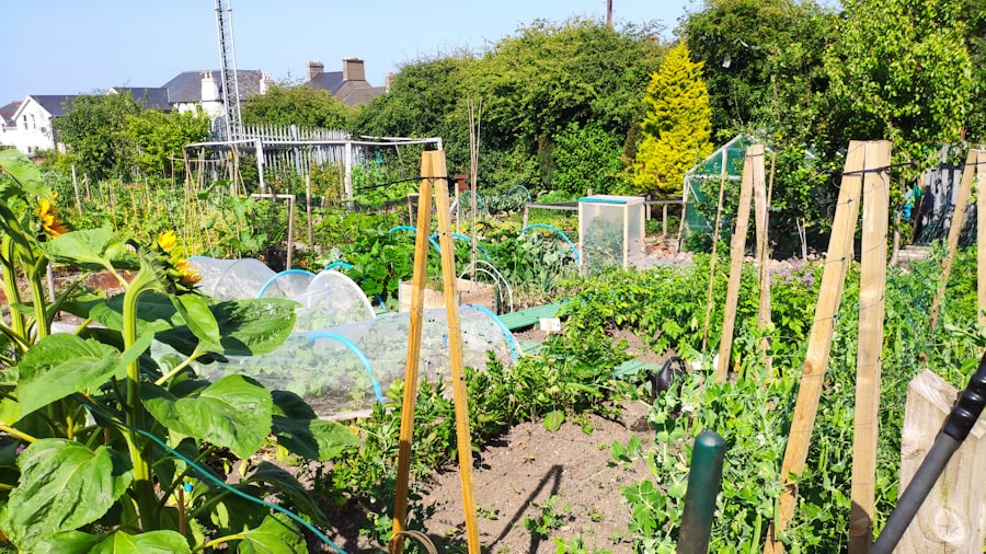 Community Garden