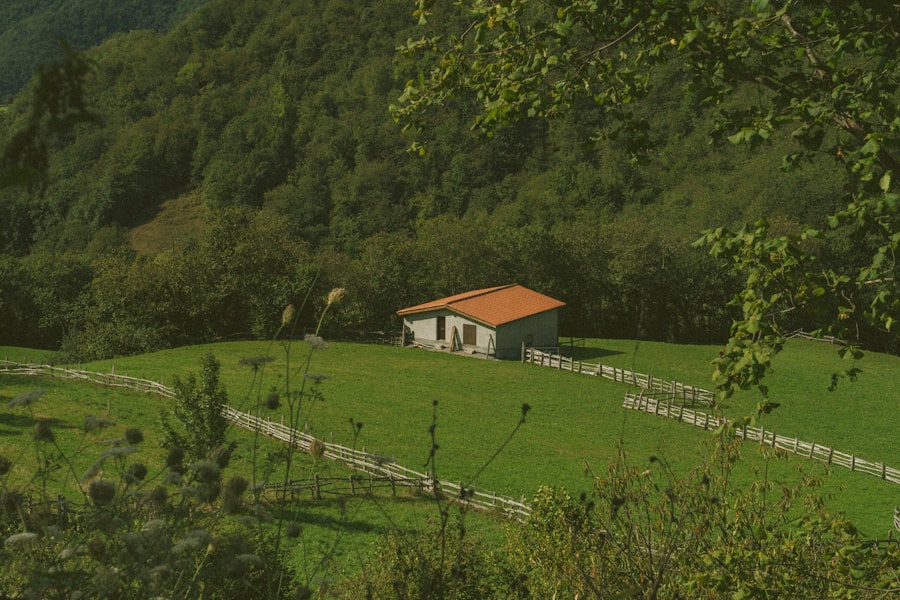 Countryside scenery