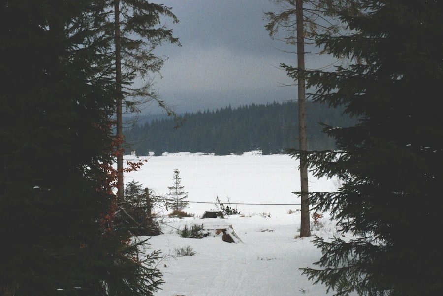 Photo Lake Elkhorn Walking Trail