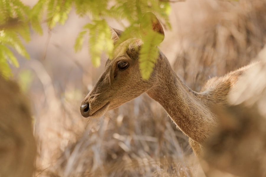 Nature Scavenger Hunts