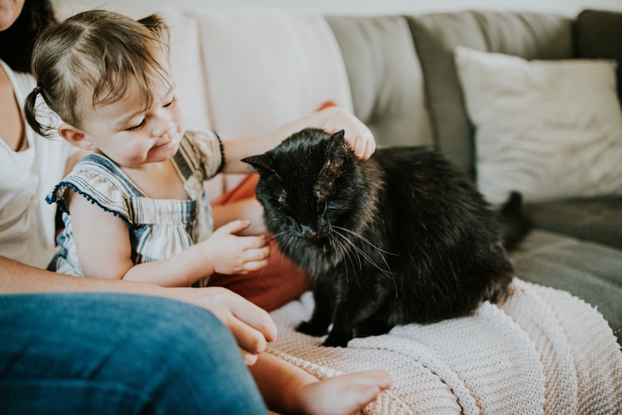 Pet-Friendly Family Activities