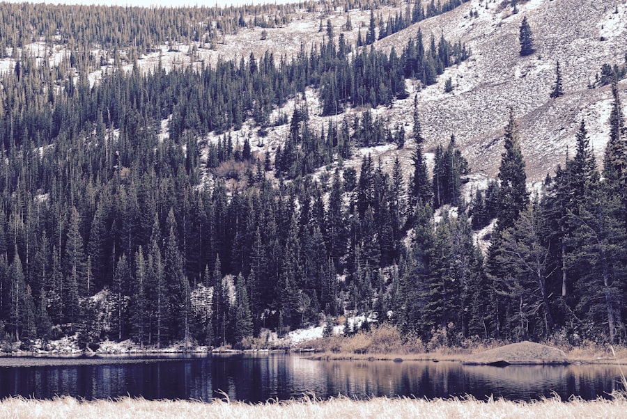Photo Columbia Lake Challenge