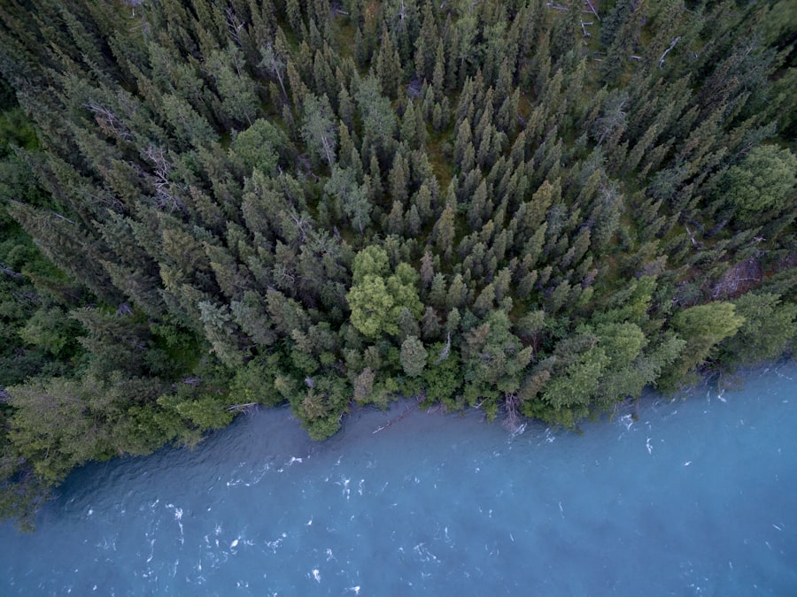 Photo Columbia Lake Ecosystems