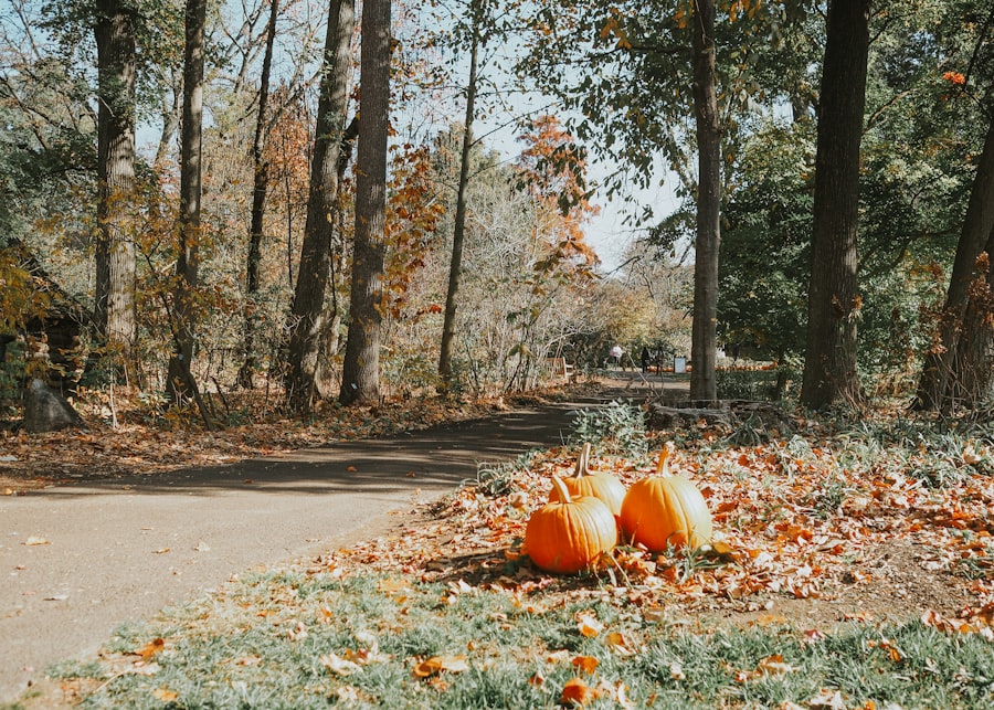 Photo Halloween Trail