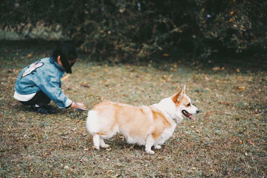 Photo Pet-Friendly Family Activities