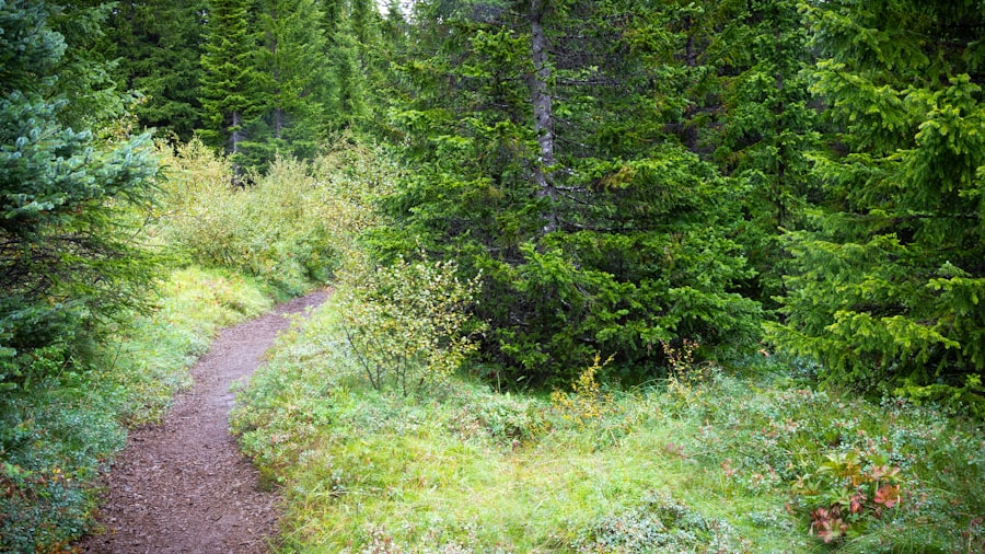 Photo Trail Running Revolution