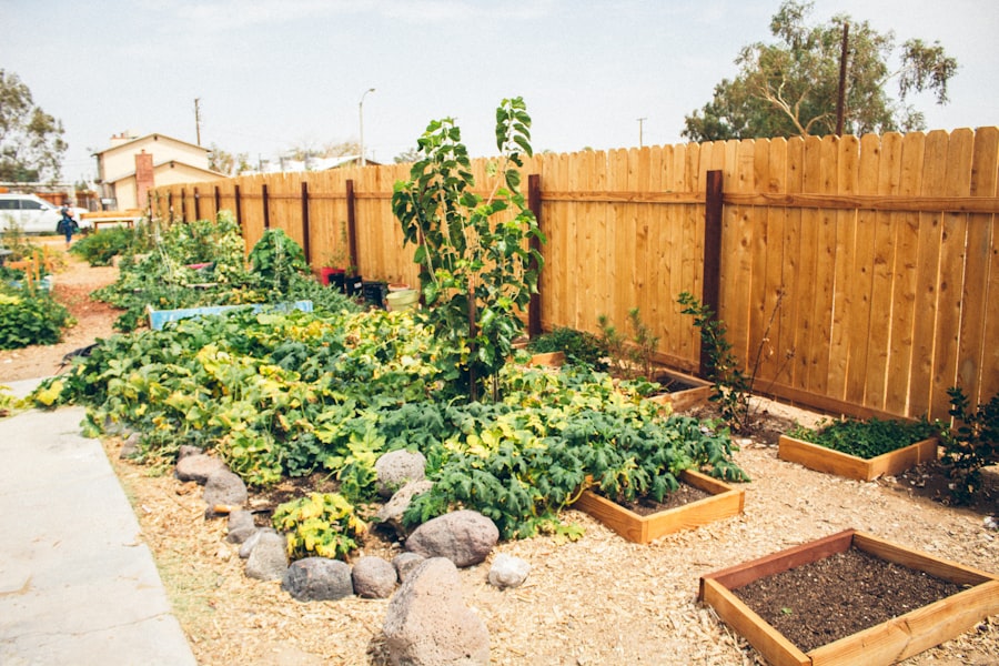 Community Gardens