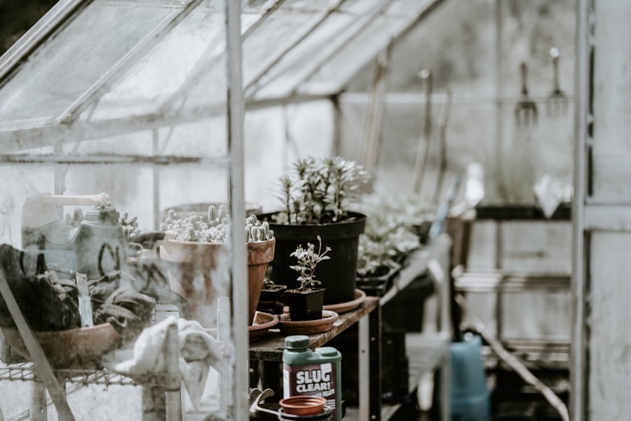 Photo Community Gardens